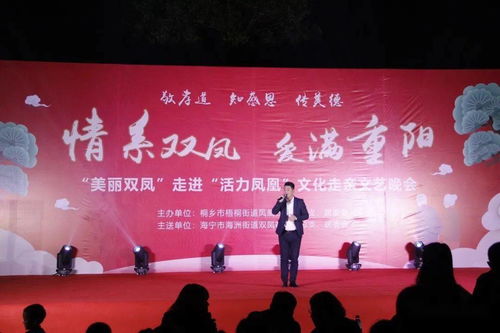 敬孝道傳美德，情系雙鳳愛滿重陽——活力鳳凰文化走親文藝晚會紀(jì)實