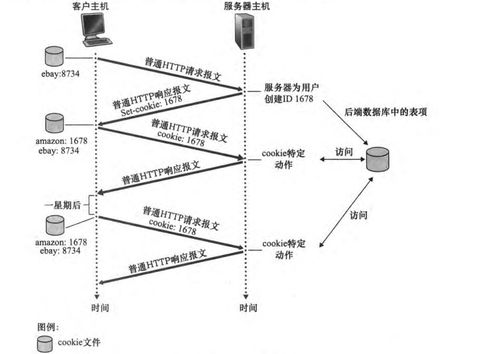 計算機網絡之應用層